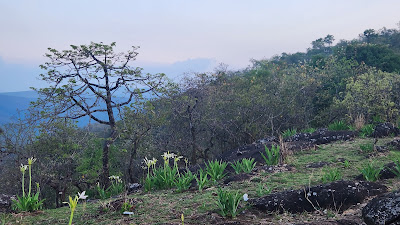 Panchajanyam Guest House