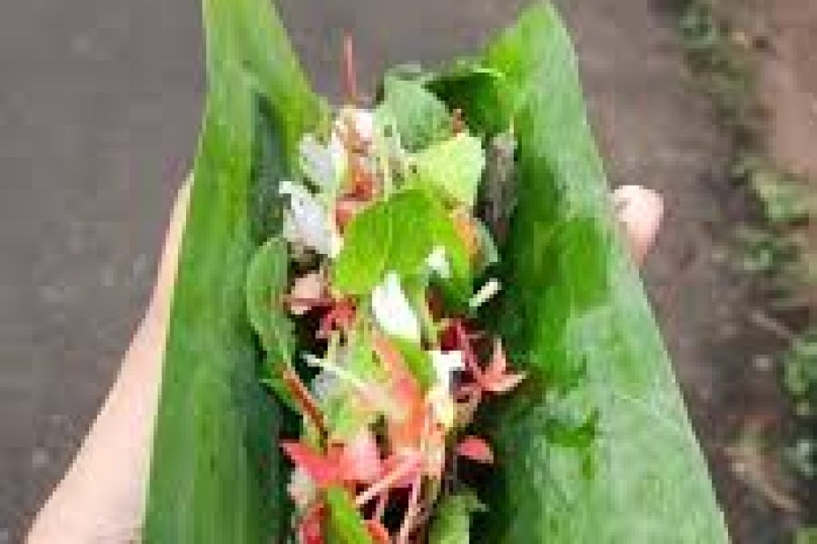 Temple Prasadam Experience